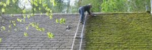  Roof Moss Removal Kidderminster